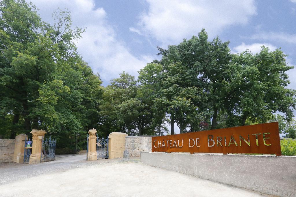 Chateau De Briante Saint-Lager Exteriér fotografie
