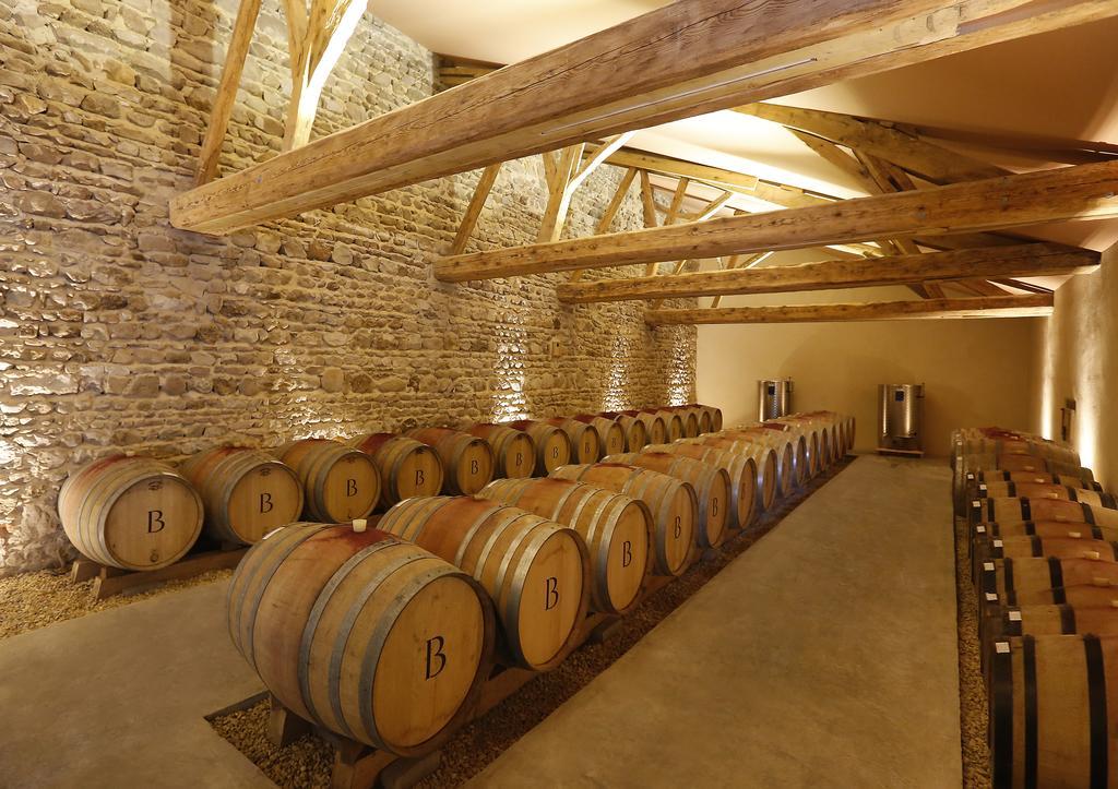 Chateau De Briante Saint-Lager Exteriér fotografie